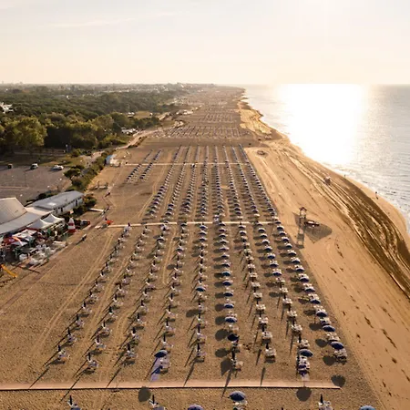 Cozy Flat With Garden-beahost * ביביונה