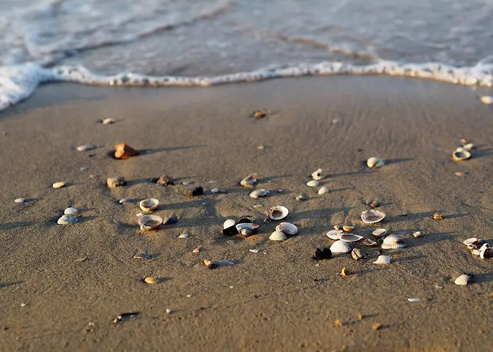 Cozy Flat With Garden-beahost * Bibione