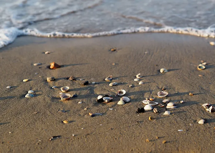 Cozy Flat With Garden-beahost